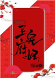 王府宠妃（重生）封面