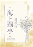 海上华亭封面
