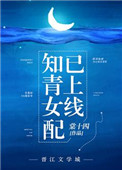 知青女配已上线封面