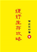 婕妤生存攻略封面
