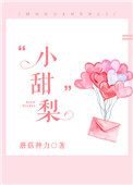 小甜梨封面