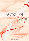 华灯初上时封面