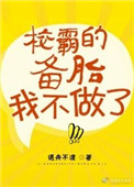 校草的备胎我不做了封面