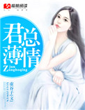 君总薄情封面