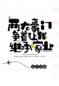 两大豪门争着让我继承家业封面