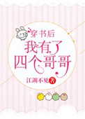 穿书后我有了四个哥哥封面