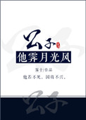公子他霁月光风封面