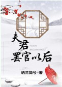 夫君罢官以后封面