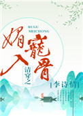清穿之媚宠入骨封面