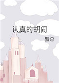 认真的胡闹封面