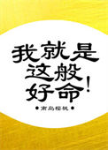 我就是这般好命封面