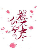 公子撩不尽封面