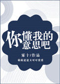 你懂我的意思吧封面