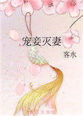 宠妾灭妻封面