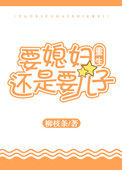 要媳妇还是要儿子[重生]封面