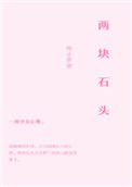 两块石头封面