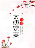 太傅宠妻日常封面