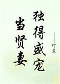 当贤妻独得盛宠封面