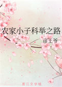 农家小子科举之路封面