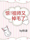 惊！祖师又掉毛了封面