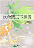 炊金馔玉不足贵封面