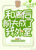 和离后前夫成了我外室封面