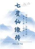 七星仙缘传封面