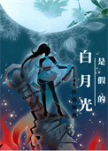 白月光是假的封面