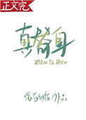 真替身封面