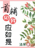 首辅见我应如是封面