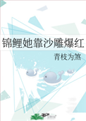 锦鲤她靠沙雕爆红封面