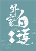 外室白莲手册封面