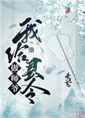 我给县令做师爷封面