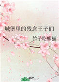 城堡里的残念王子们封面