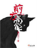 前方高能封面