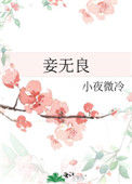 妾无良（作者：小夜微冷）封面