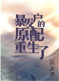 暴发户的前妻重生了[年代]封面