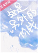 这是另外的价钱封面