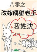 八零之改嫁隔壁老王封面