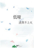 低哑封面