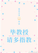 毕教授，请多指教封面