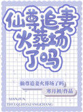 仙尊追妻火葬场了吗封面