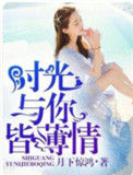 你与时光皆薄情封面