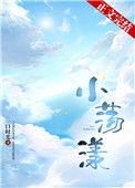 小荡漾封面