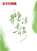 糖渍青梅封面