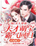 惊！夫人带着天才萌宝霸气回归，总裁跪了封面