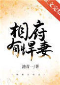 相府有悍妻封面