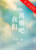 我们离婚吧[娱乐圈]封面