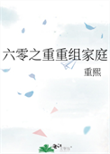 六零之重重组家庭封面