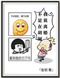 我说离婚不是在胡闹封面